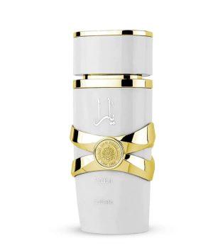Design sem nome - 2025-06-11T154823.628