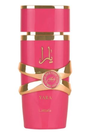 Design sem nome - 2025-06-11T173451.052