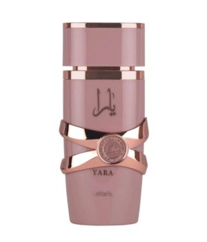 Design sem nome - 2025-10-22T141520.462