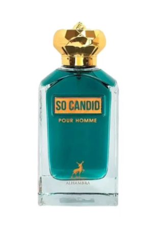 Design sem nome - 2025-10-24T160355.050