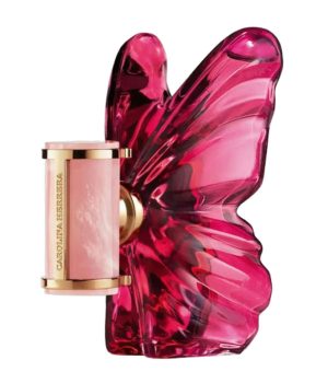 Design sem nome - 2026-03-14T160242.307