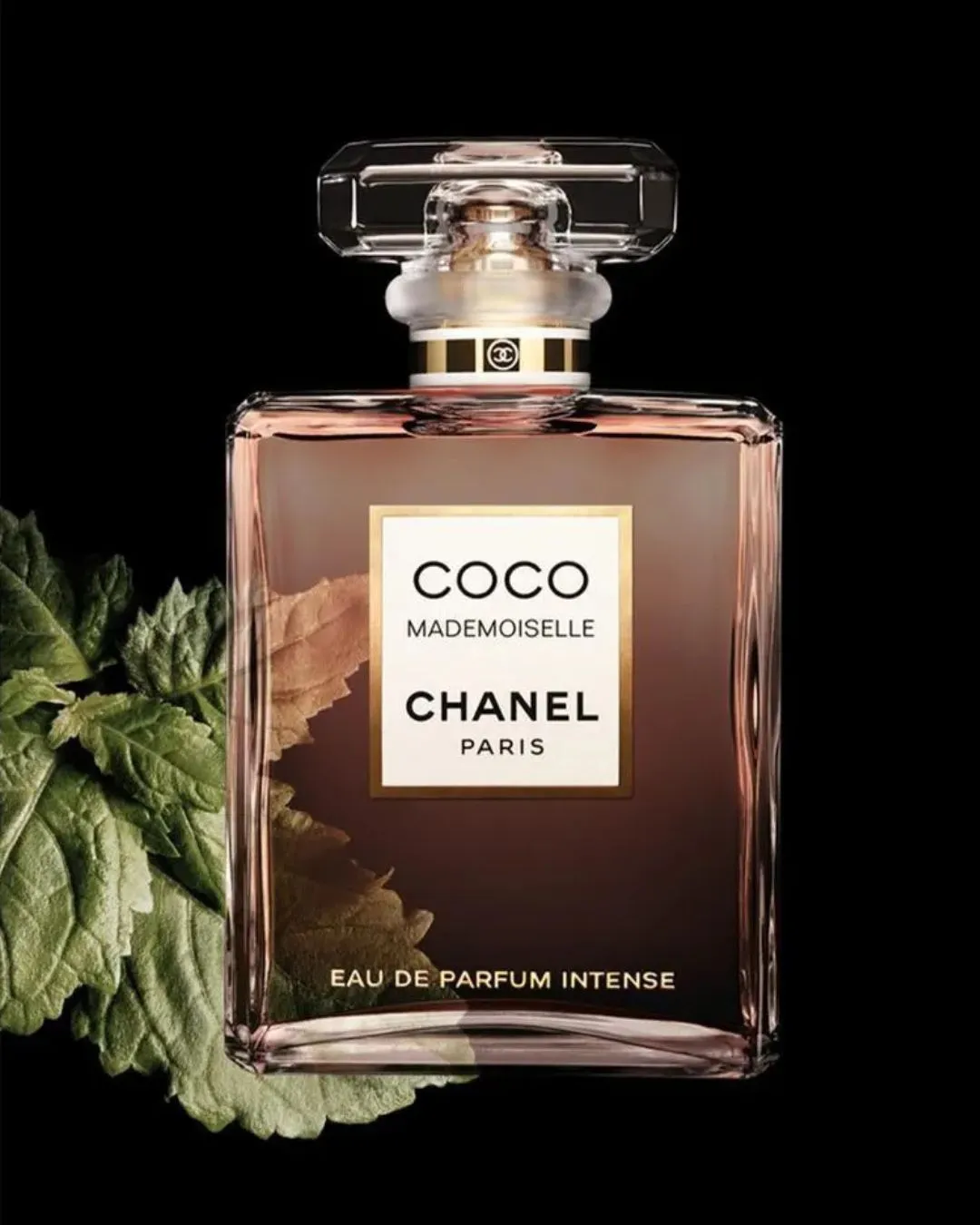 Perfume Coco Mademoiselle Chanel Eau de Parfum Intense 100ml - Imagem 3