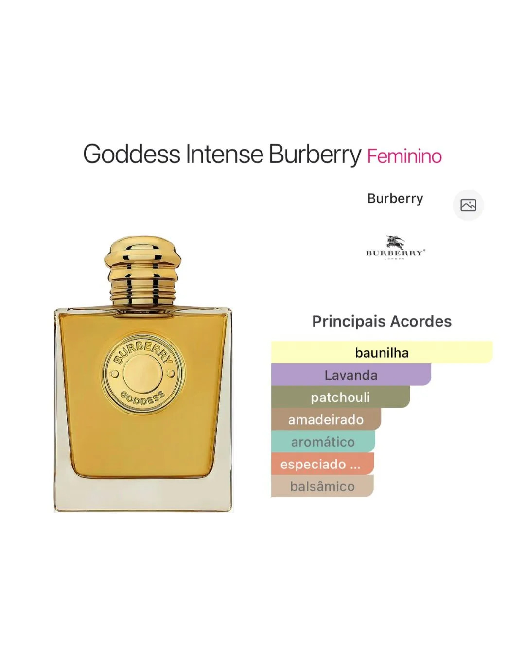 Goddess Intense Burberry Eau de Parfum - Imagem 3