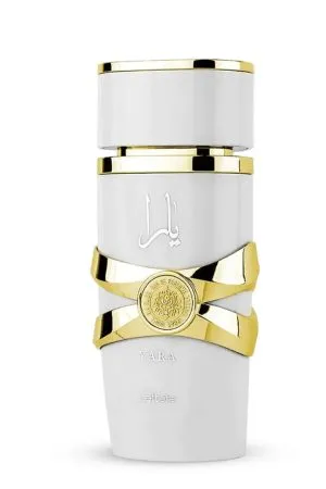 Design sem nome - 2025-06-11T154823.628