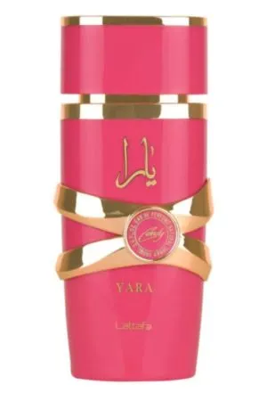 Design sem nome - 2025-06-11T173451.052