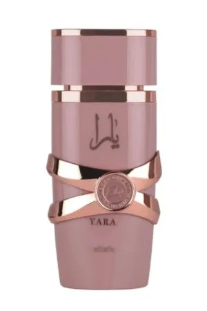 Design sem nome - 2025-10-22T141520.462