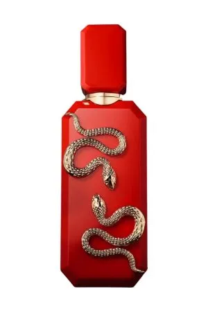 Design sem nome - 2025-10-24T155611.073