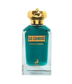 Design sem nome - 2025-10-24T160355.050